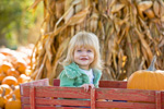 Fall Events in the Aurora, Illinois area